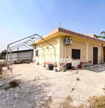 Foto annuncio 74