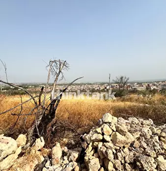 Foto annuncio 13