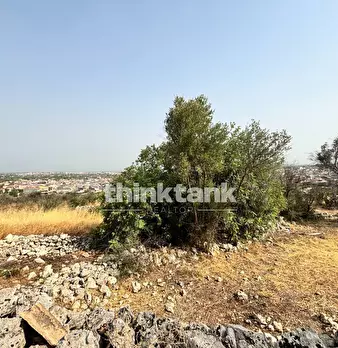 Foto annuncio 19