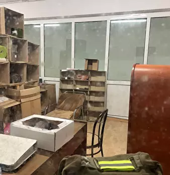 Foto annuncio 14