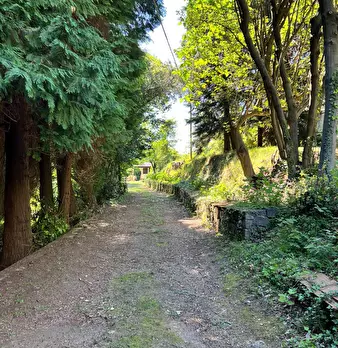 Foto annuncio 18