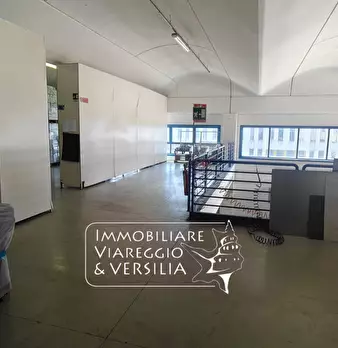 Foto annuncio 11