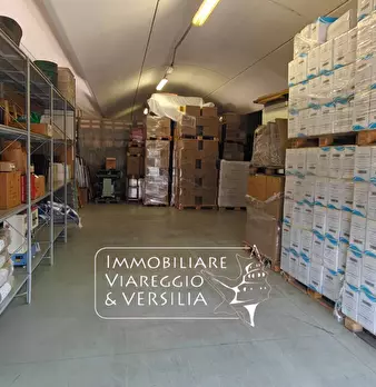 Foto annuncio 12