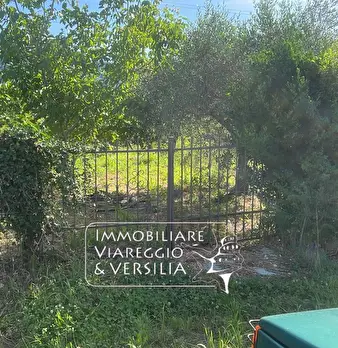 Foto annuncio 8