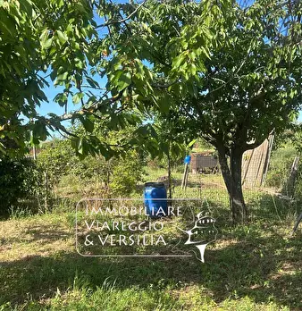 Foto annuncio 4