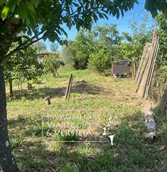 Foto annuncio 6