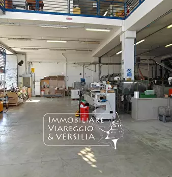 Foto annuncio 7