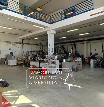 Foto annuncio 6