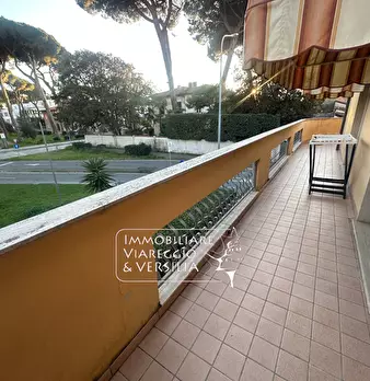 Foto annuncio 43
