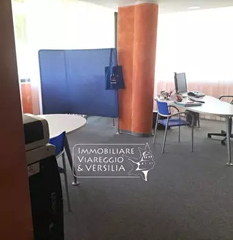 Foto annuncio 14