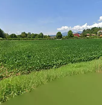 Foto annuncio 1