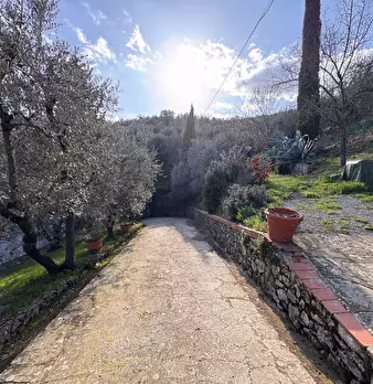 Foto annuncio 5