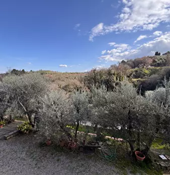 Foto annuncio 17
