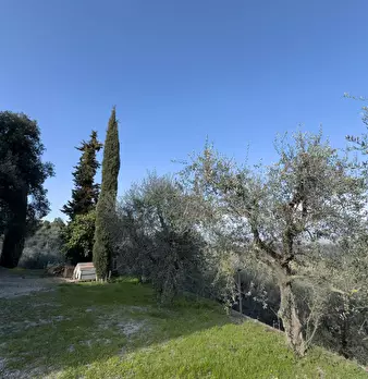 Foto annuncio 32