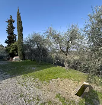 Foto annuncio 34
