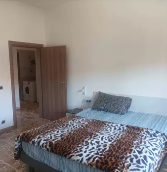 Foto annuncio 4