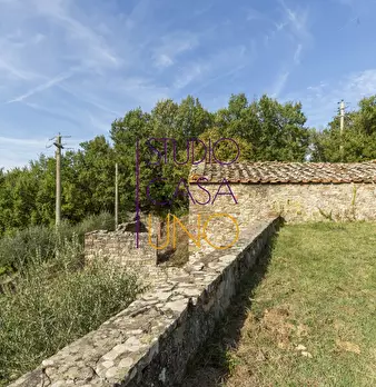 Foto annuncio 8