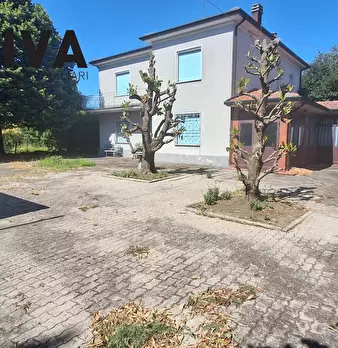 Foto annuncio 19