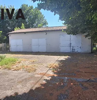 Foto annuncio 25
