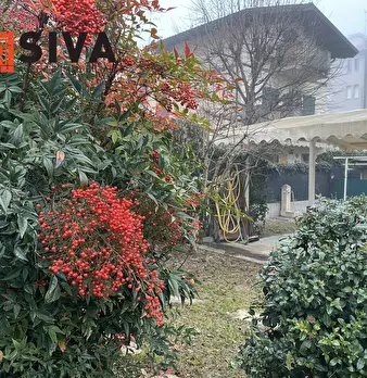 Foto annuncio 21