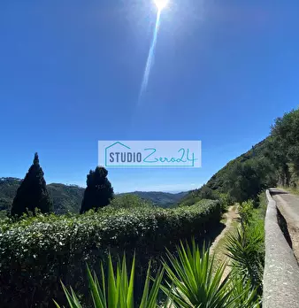 Foto annuncio 29