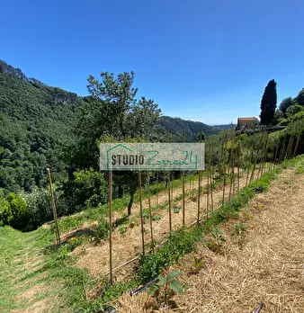 Foto annuncio 31
