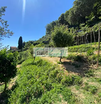 Foto annuncio 32