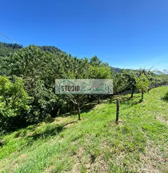 Foto annuncio 33
