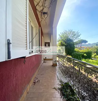 Foto annuncio 9