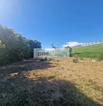 Foto annuncio 6