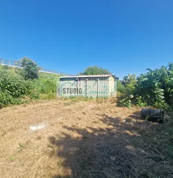 Foto annuncio 7