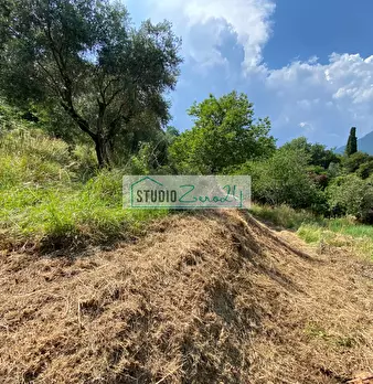 Foto annuncio 44
