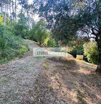 Foto annuncio 39