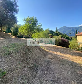 Foto annuncio 36