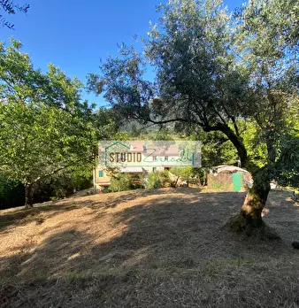Foto annuncio 43