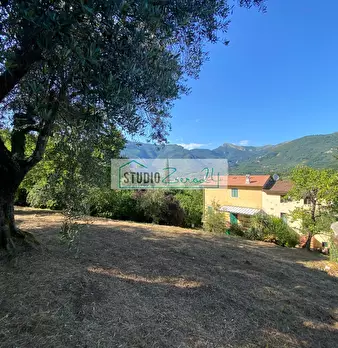 Foto annuncio 40