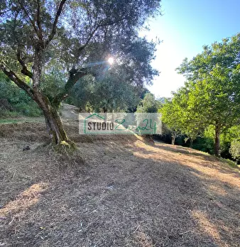 Foto annuncio 37
