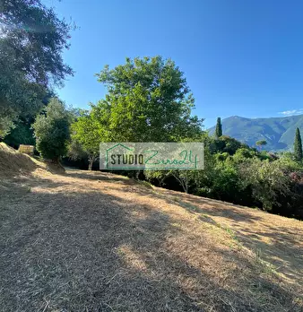 Foto annuncio 46