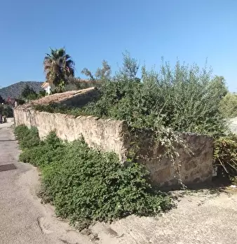 Foto annuncio 4