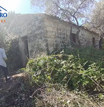 Foto annuncio 6