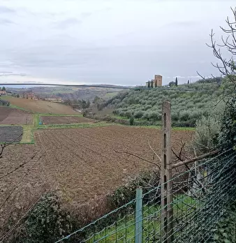 Foto annuncio 6