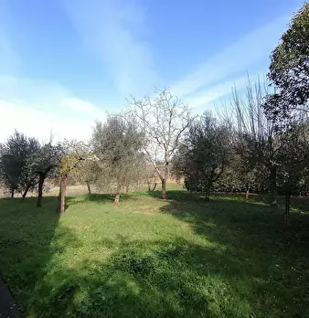 Foto annuncio 4