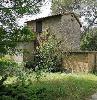 Foto annuncio 1
