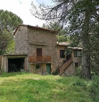 Foto annuncio 4