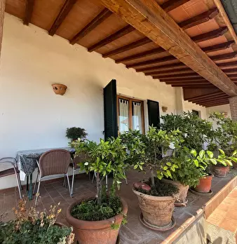 Foto annuncio 6
