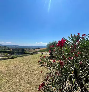Foto annuncio 10