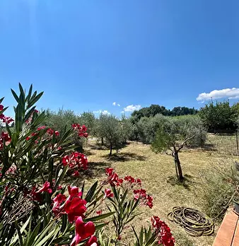 Foto annuncio 9