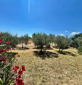 Foto annuncio 11