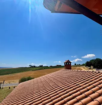 Foto annuncio 24