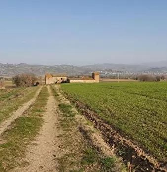 Foto annuncio 3
